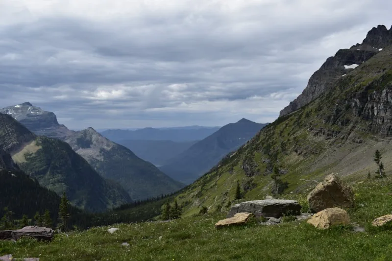 Guardians of the Glaciers: Experiencing Glacier National Parks in 2026