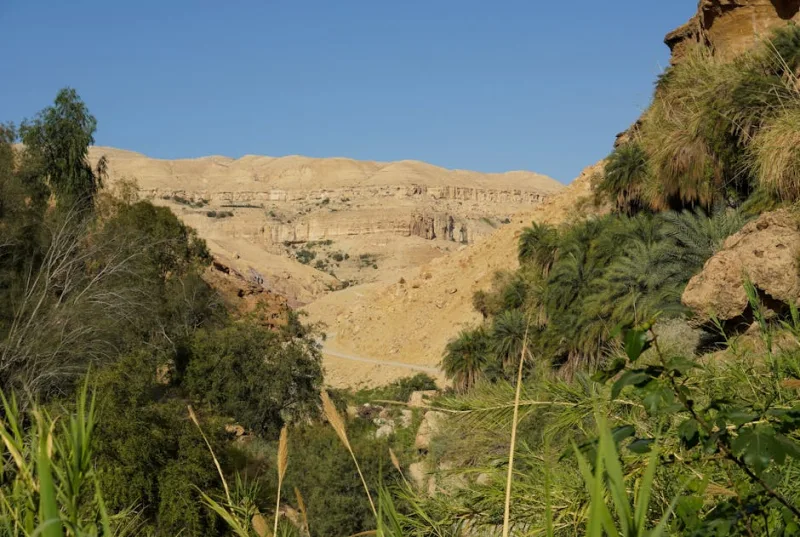 15 Best Hiking Trails Around the World in 2026
