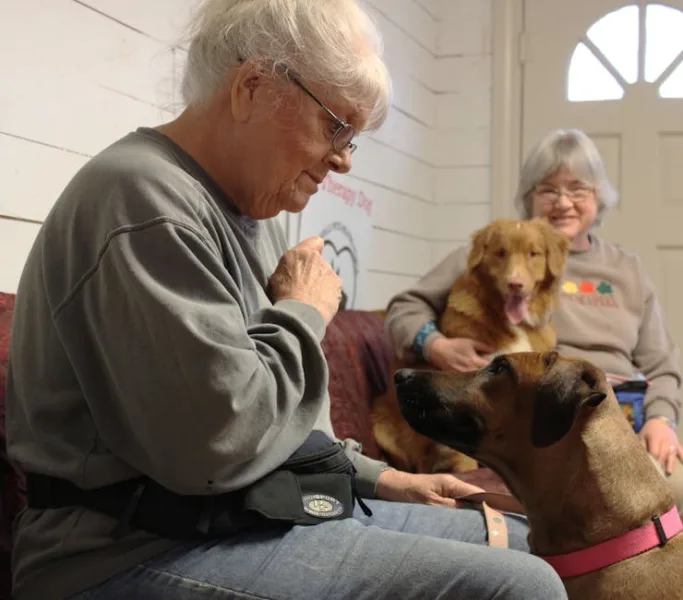 The Unseen Heroes: Therapy Animals Transforming Lives in 2026