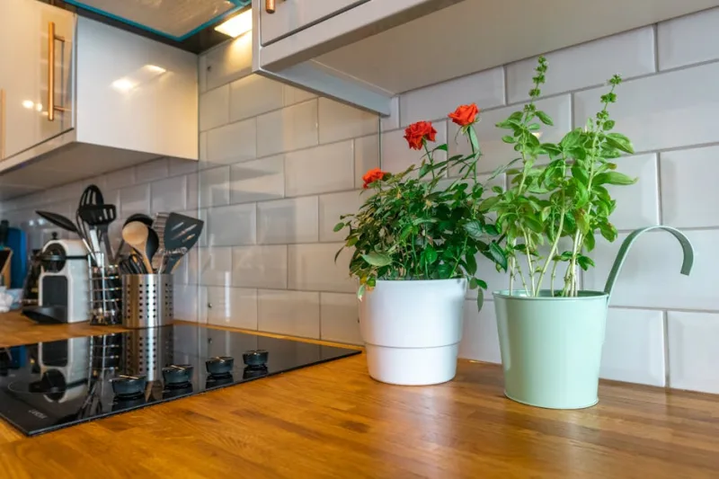 From Concrete Jungle to Green Oasis: Financial Strategies for Urban Homesteading in 2026