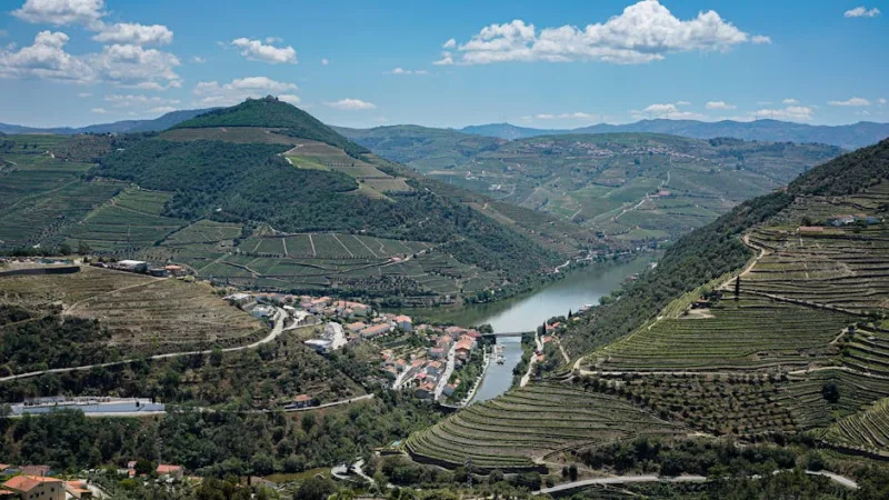Sipping Through 2026: A Wine Lover’s Guide to Portugal’s Douro Valley