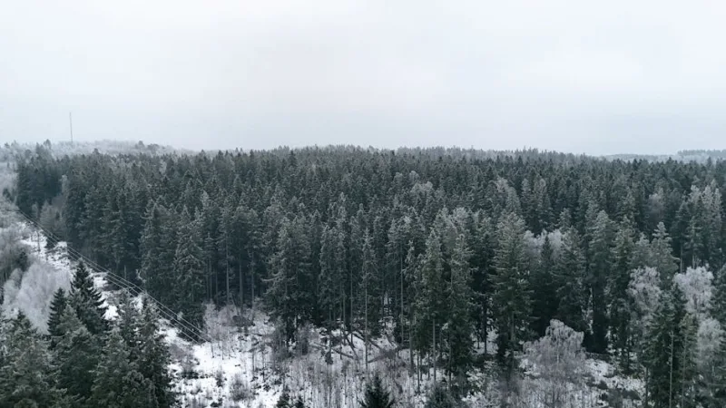 Beyond the Fjords: Discovering Scandinavia’s Hidden Wilderness Treasures in 2026