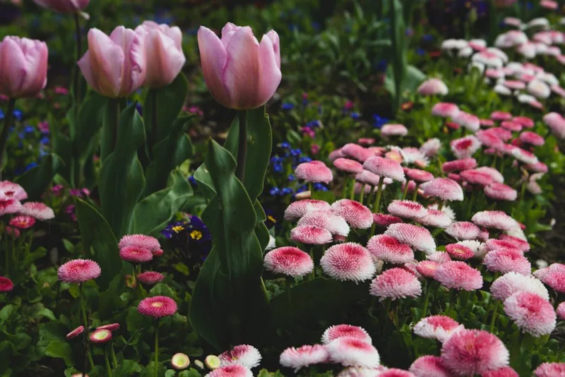 A Journey Through the Whimsical Gardens of England: A 2026 Adventure