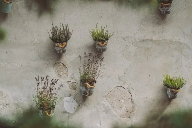 Green Thumbs in 2026: DIY Vertical Gardens for Small Spaces