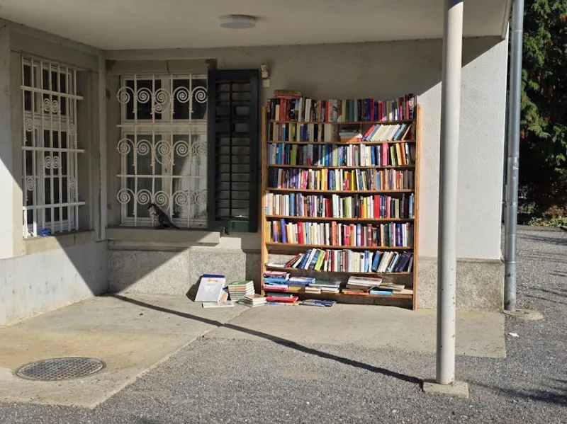 The Unbelievable Tale of 2026’s Wandering Library: When Books Go Rogue