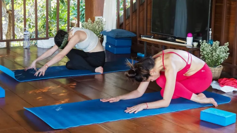 The Celebrity Wellness Retreats Revolution: How the Rich and Famous Are Redefining Luxury Escapes in 2026