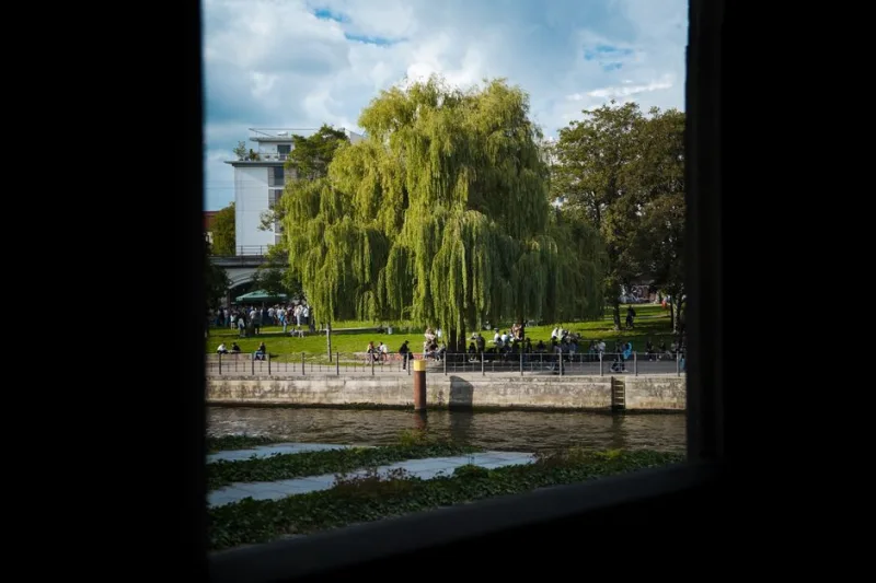 2026’s Urban Safari: Discovering Berlin’s Revitalized Green Spaces