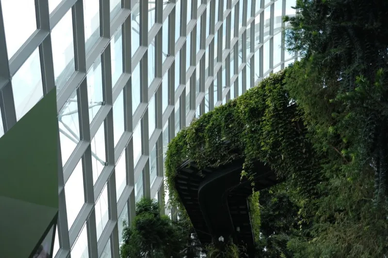 Gardens in the Sky: Exploring Singapore’s 2026 Vertical Gardens