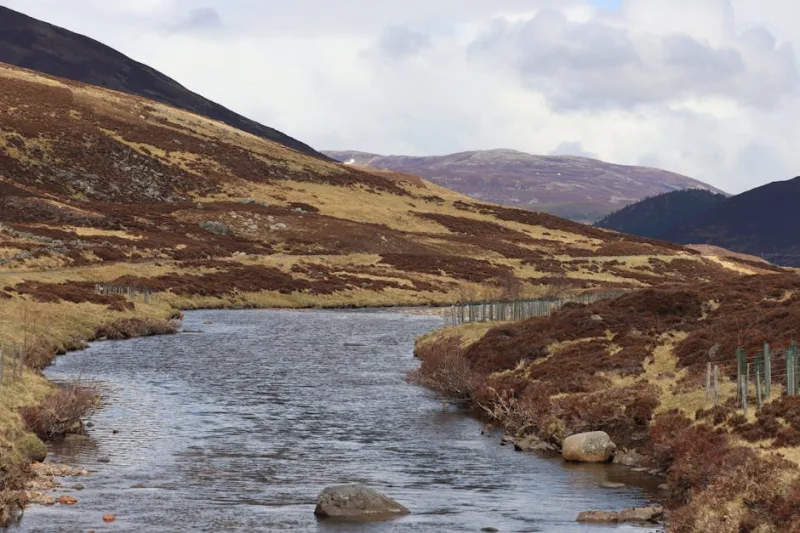 Ancient Echoes: The Mesmerizing Soundscapes of the Scottish Highlands in 2026
