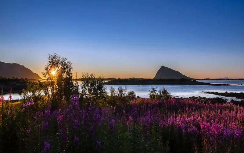 Chasing the Midnight Sun: Exploring Norway’s Arctic Circle in 2026