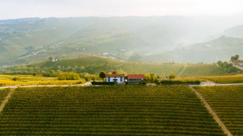 The Hidden Wine Routes: Exploring Lesser-Known Vineyards of 2026