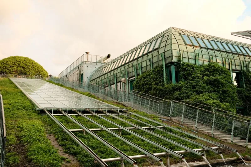 Crafting a Tranquil Tech Haven: Balancing Nature and Innovation at Home in 2026