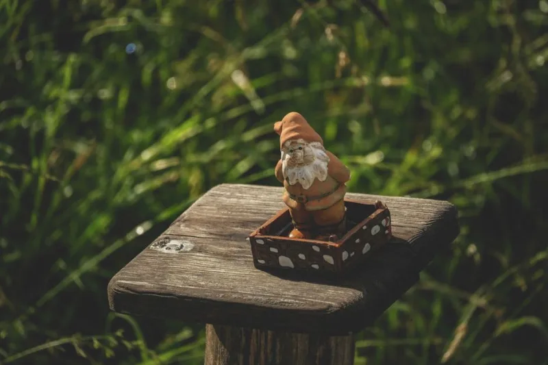 2026: The Year of Hilarious Gardening Experiments – Uncovering the Fun in Flora