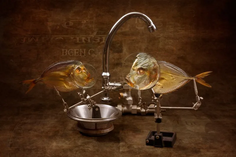 2026: The Year of Hilarious Hobby Mashups – When Interests Collide