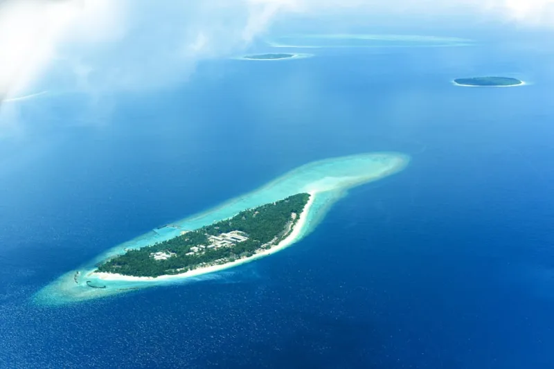 Why You Should Consider Island Destinations for Family Reunions