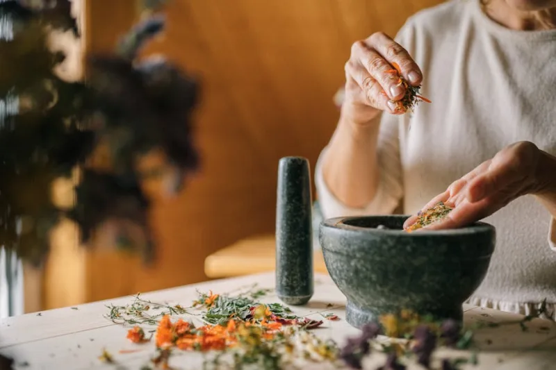 2026 DIY Adventures: Crafting Your Own Herbal Apothecary at Home