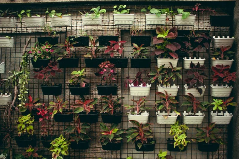 Green Walls and Living Art: Transforming Your Space with Vertical Gardens in 2026