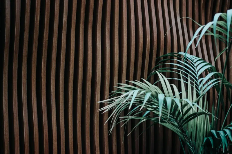 The Rise of Biophilic Design in 2026: Harmonizing Homes with Nature